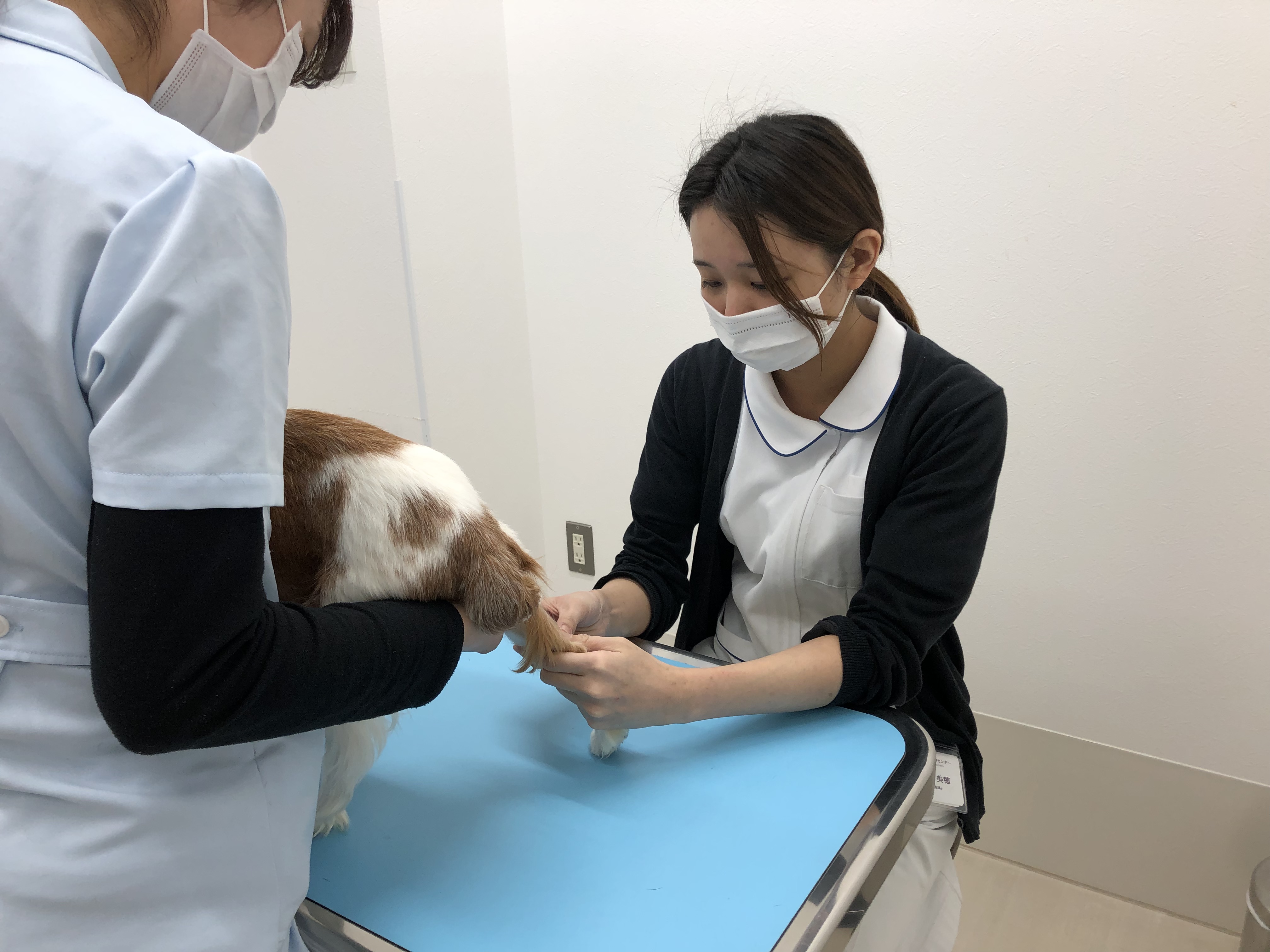 安心して働ける環境をご用意